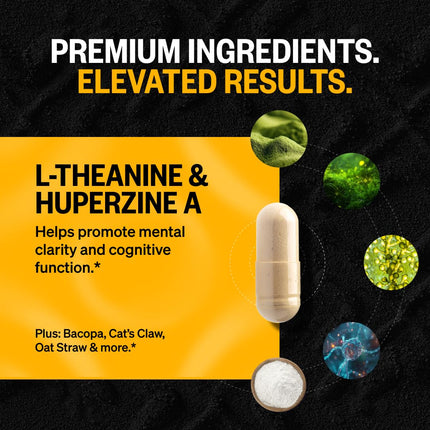 ONNIT Alpha Brain Nootropic Brain Supplement for Men & Women | Memory, Mental Clarity & Cognitive Improvement | Focus Capsules with L-Theanine, Vitamin B6 & Phosphatidylserine (30 Count)