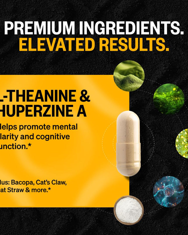 ONNIT Alpha Brain Nootropic Brain Supplement for Men & Women | Memory, Mental Clarity & Cognitive Improvement | Focus Capsules with L-Theanine, Vitamin B6 & Phosphatidylserine (30 Count)